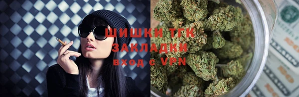 PSILOCYBIN Балахна