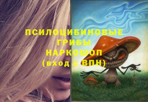 винт Баксан