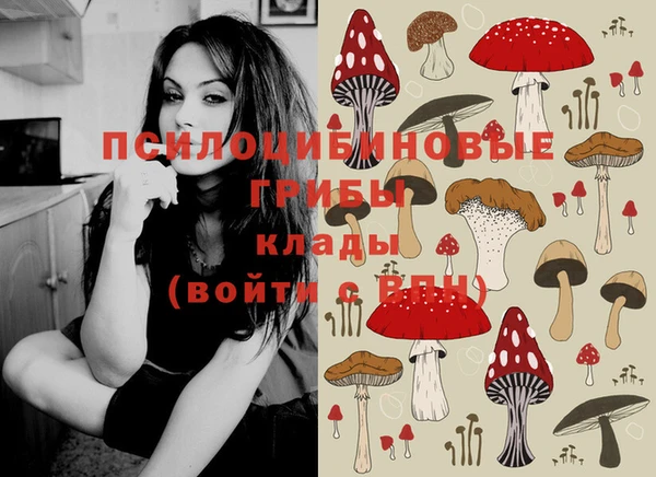 винт Баксан