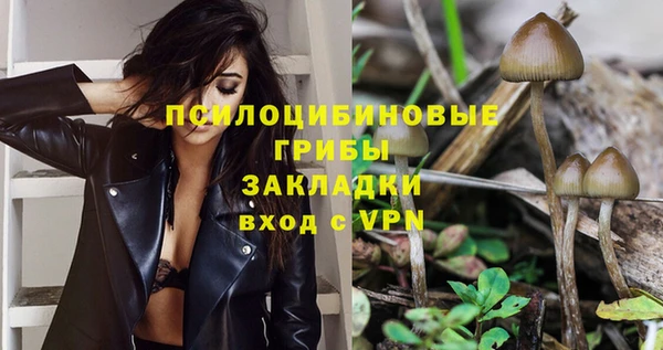 твердый Аркадак