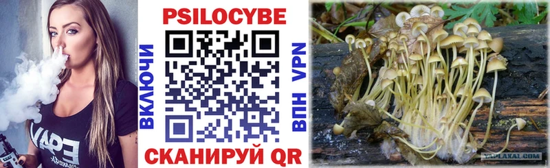Галлюциногенные грибы прущие грибы  Старая Русса 